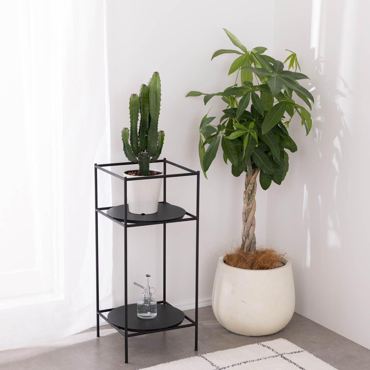 プランタースタンド　｜　Antenna Plants Rack Ssize ブラック