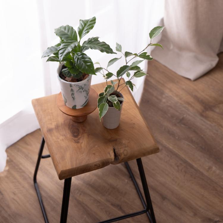 植物を置いてもかわいいスツール